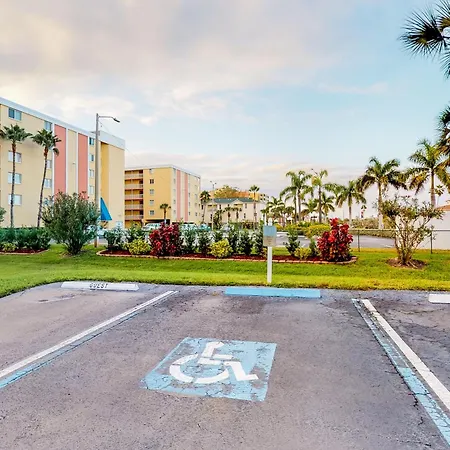 Beach Palms 309-2
